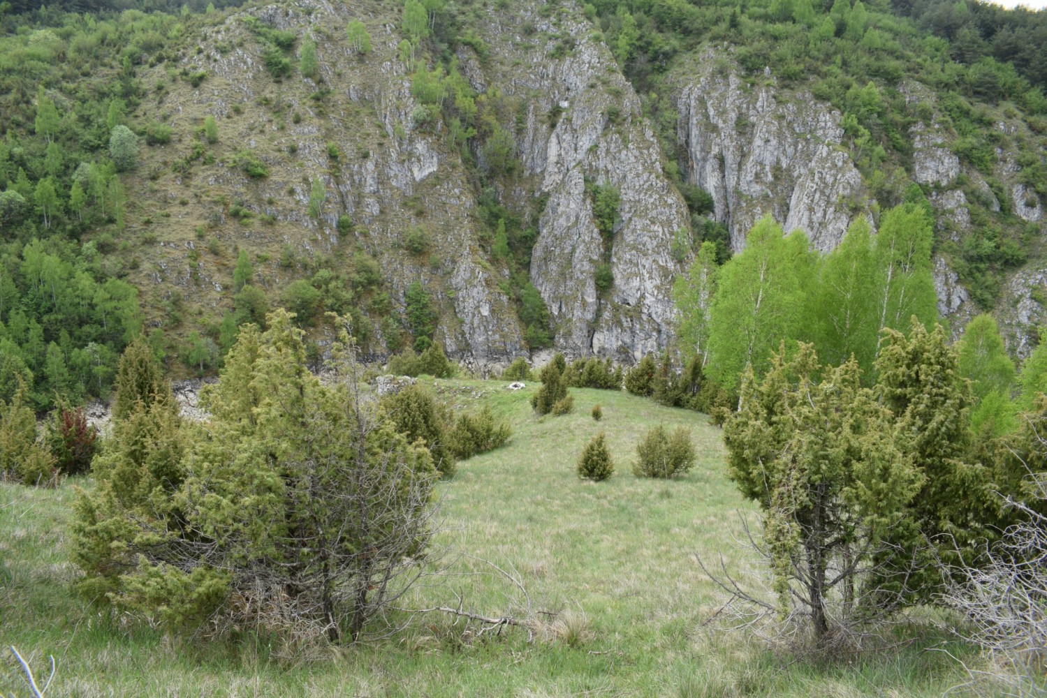 Мој камп