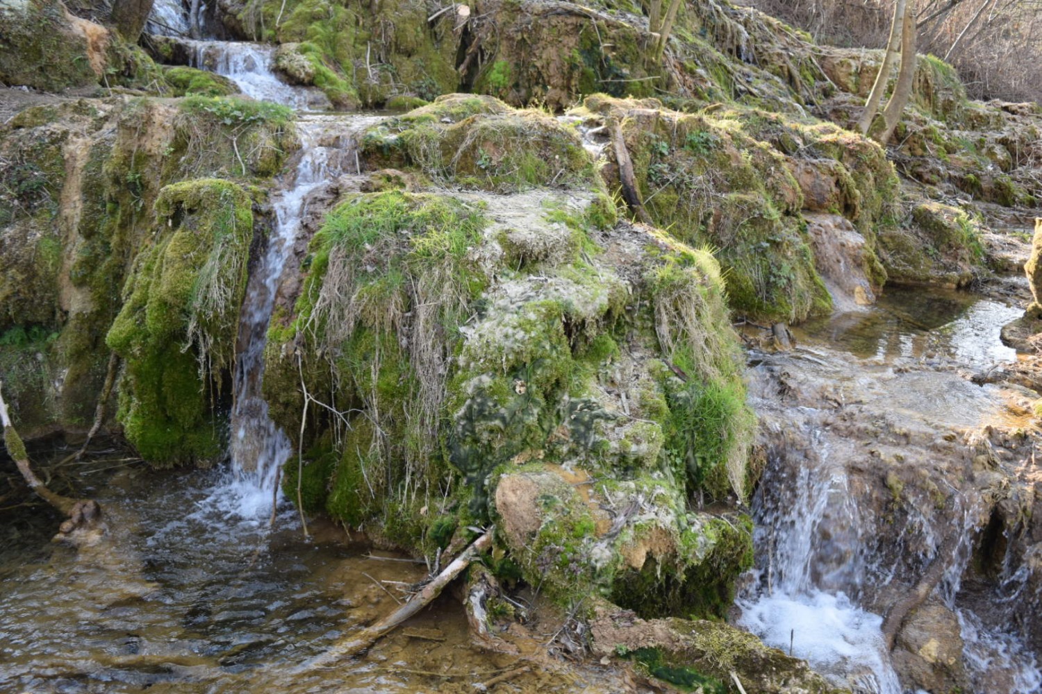 Тарско врело