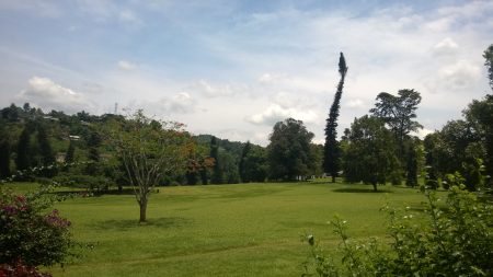 Ботаничка башта у Кендију - putujemo.org