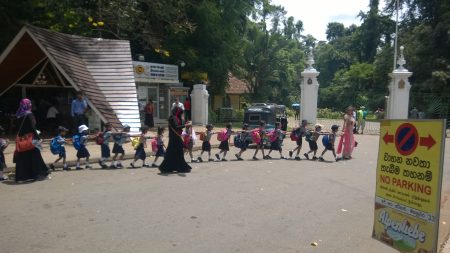 Ботаничка башта у Кендију - putujemo.org