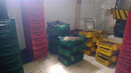 Фабрика чаја, Канди - putujemo.org