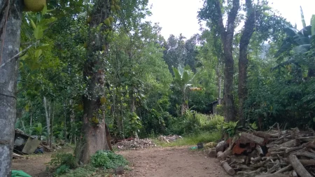 Двориште где је камион био паркиран - Шри Ланка - putujemo.org