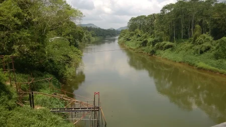 Поглед на џунглу и Кенали реку - Шри Ланка