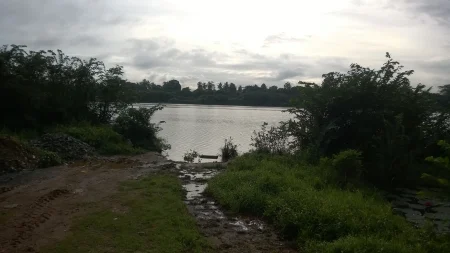 Трчање око језера у Коломбу - Индија