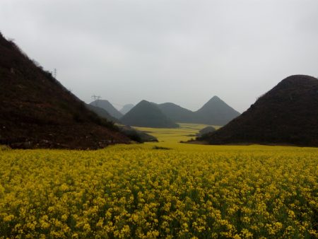 Ђинђи пикс, Луопинг, Кина