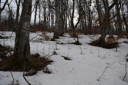 Снежни приступ на Мали Повлен - putujemo.org