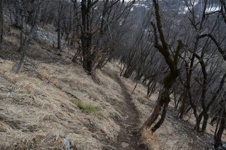 Пречица за спуштање са Великог Повлена - putujemo.org