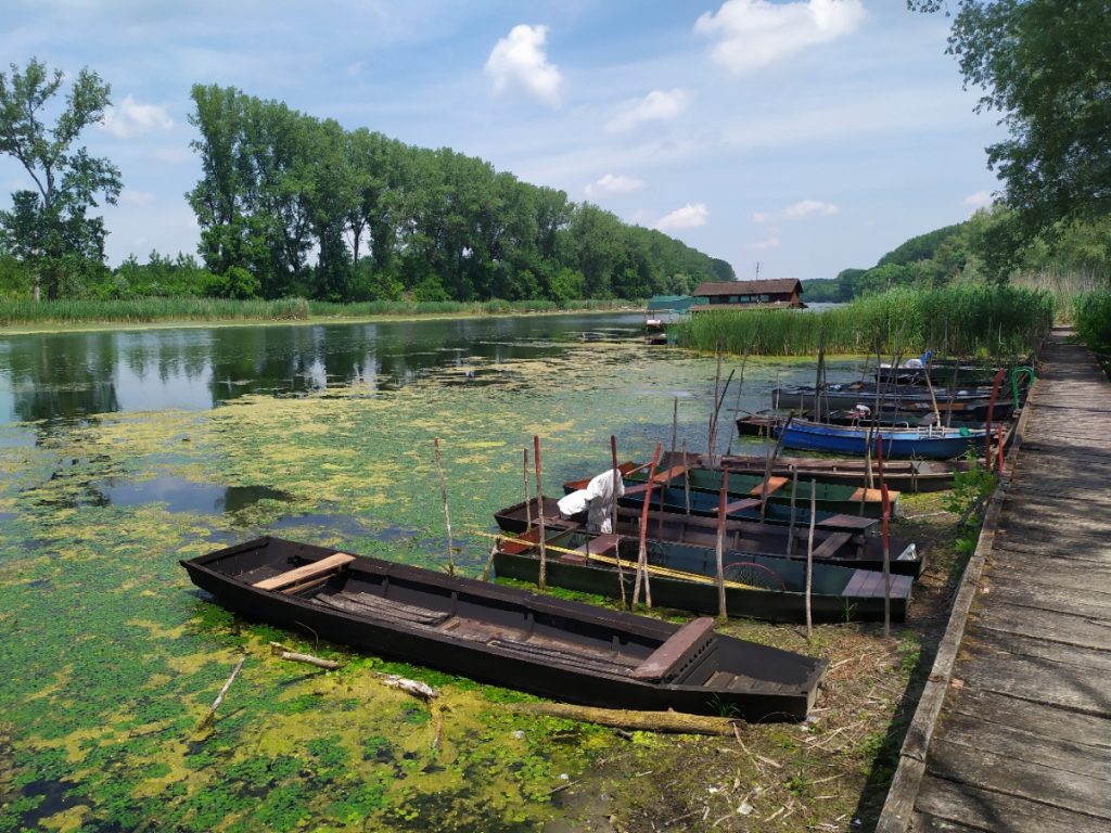 Стари чамци