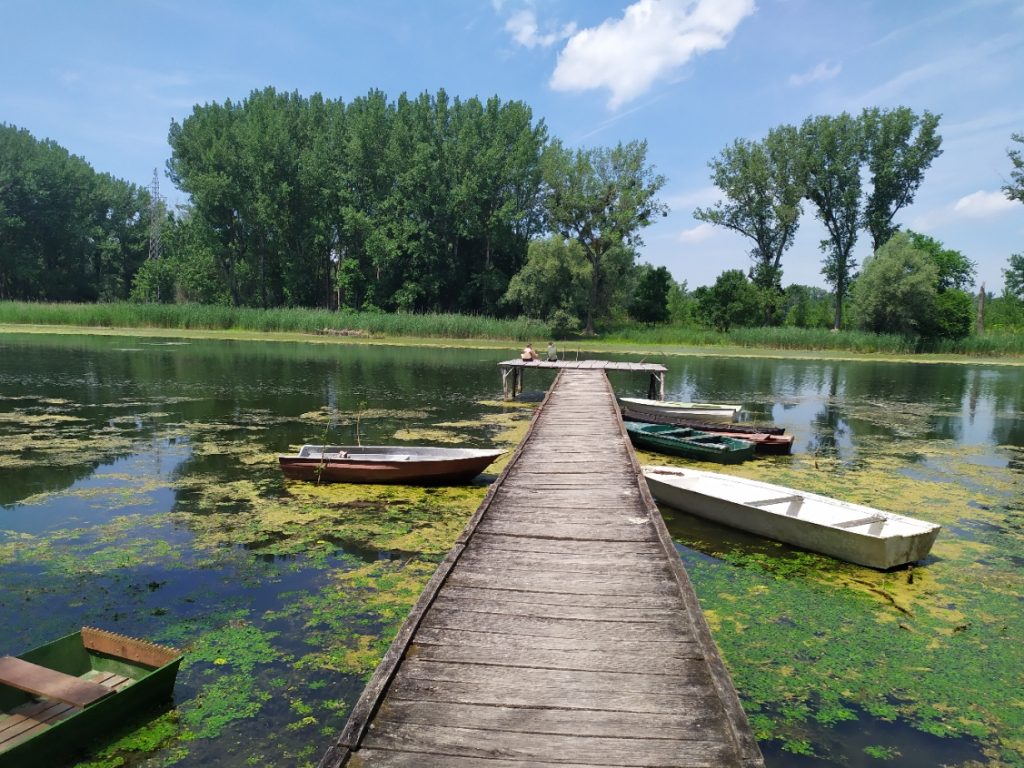 Мол до средине реке